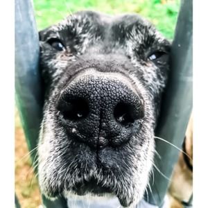 Meet your Posher, Felicity